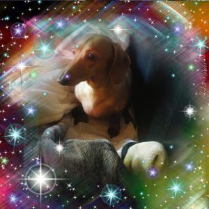 Meet your Posher, Retta